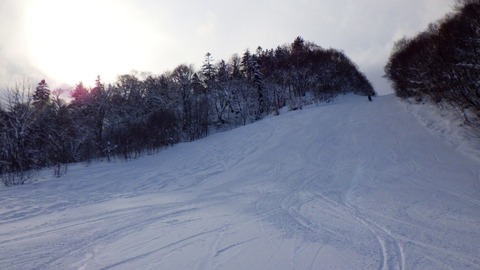 RIMG2421