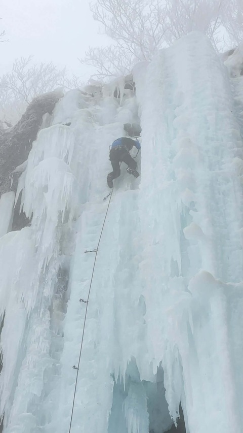 80b5e1fa-0121-44e3-9c7e-ca5ade04983c