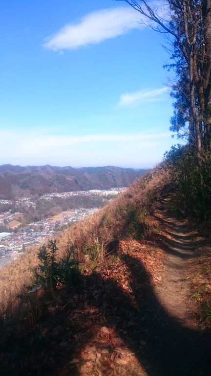 イメージ 15
