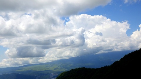 RIMG8775