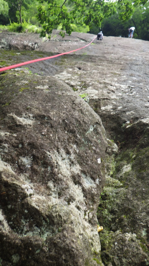 RIMG6856