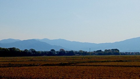 DSC_0596