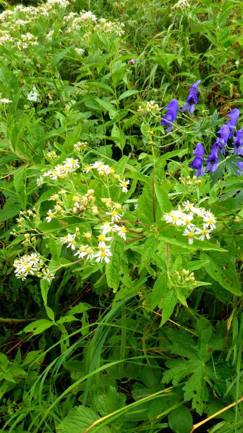 batch_RIMG0962