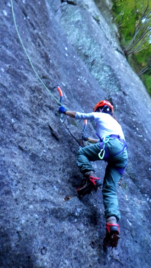 RIMG8494