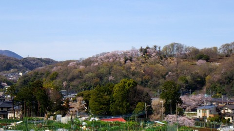 RIMG6231