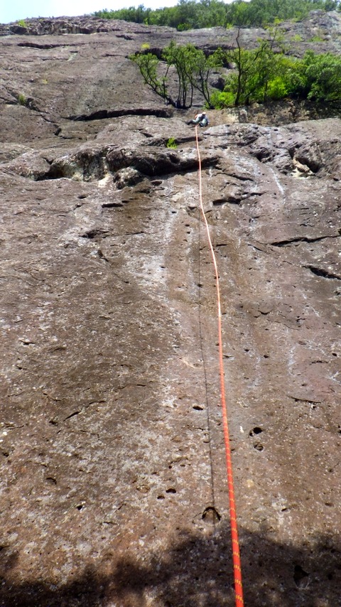 RIMG6683