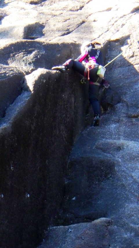 RIMG1774