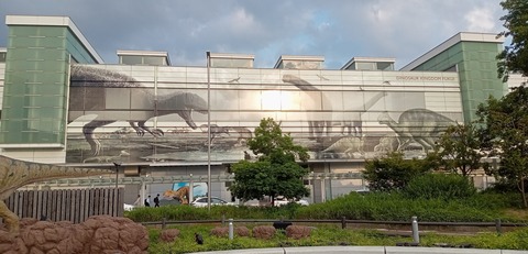IMG_20240607_174909
