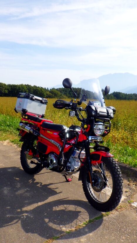 RIMG9550