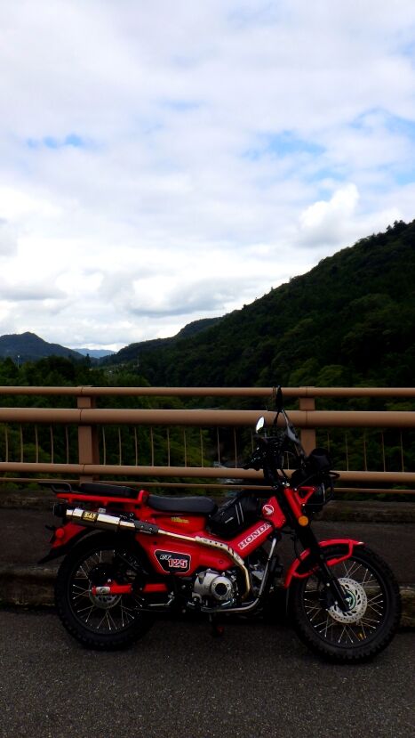 RIMG8656