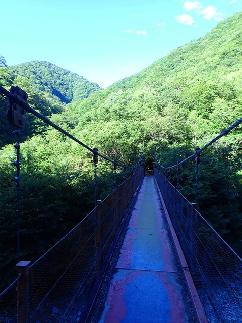 P8060009