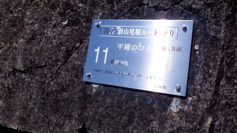 RIMG8225