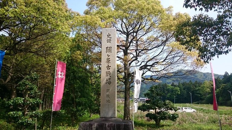 イメージ 8
