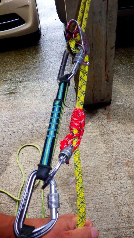 RIMG8150