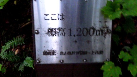 batch_RIMG8070