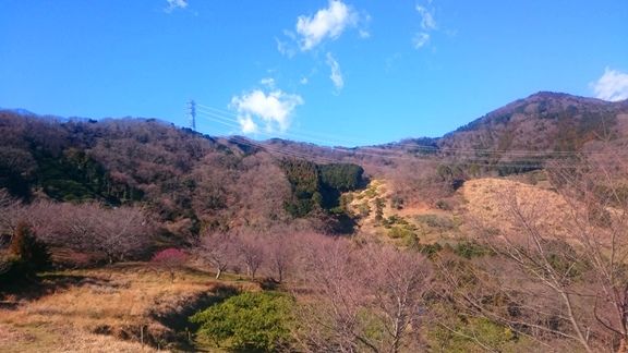 イメージ 31