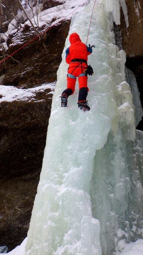 batch_RIMG4823