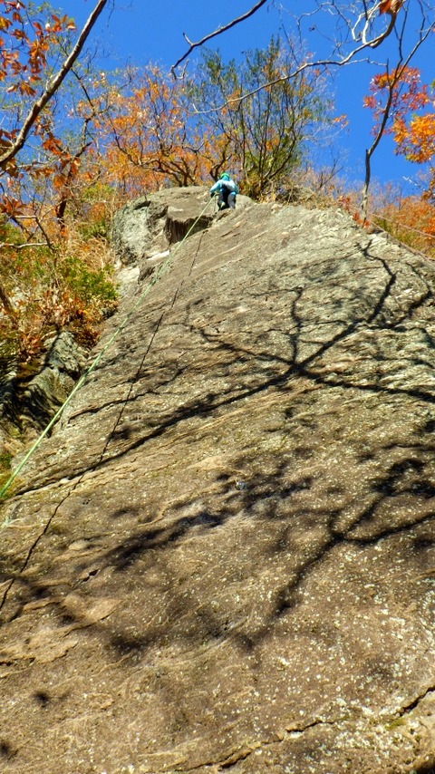 RIMG0247