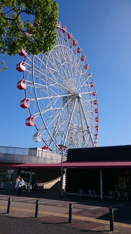 イメージ 4