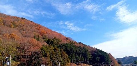 batch_IMG_20251210_133105