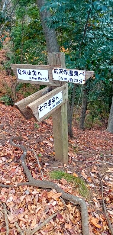 batch_IMG_20251209_132200