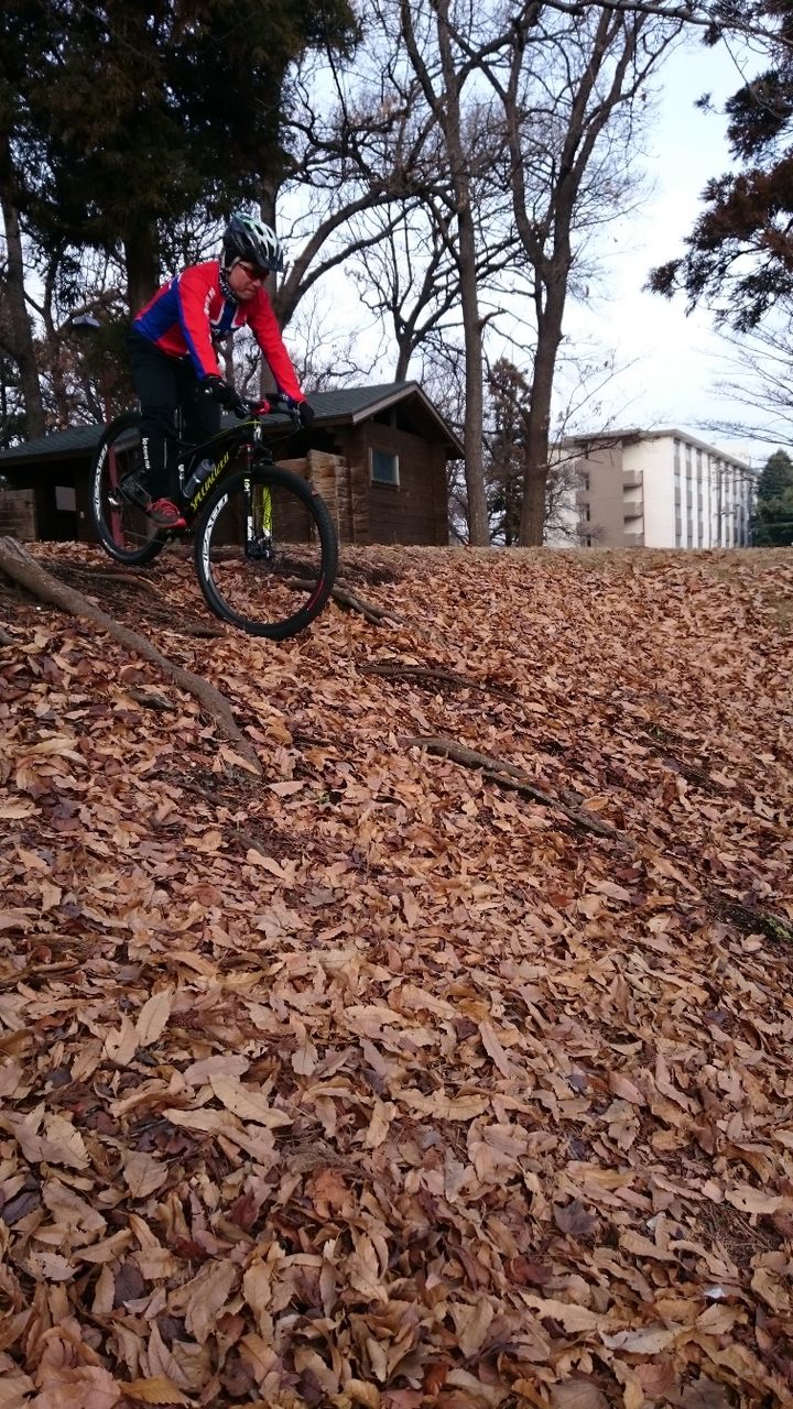 イメージ 9