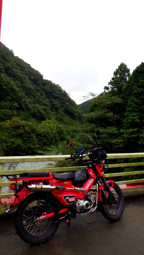 RIMG8600