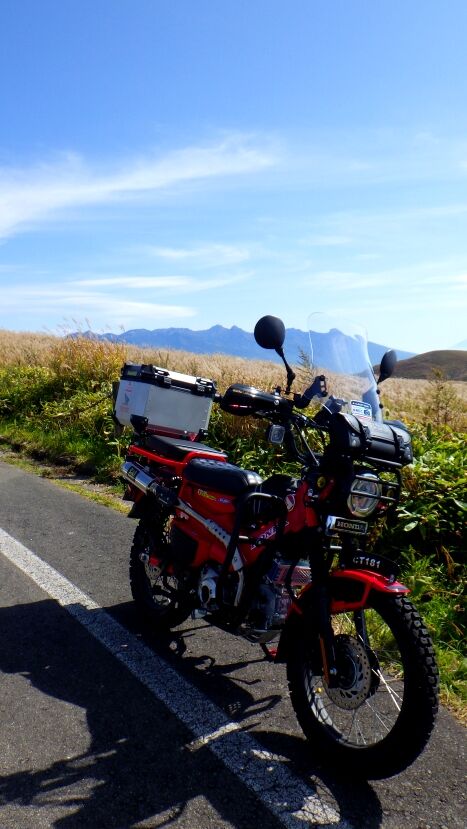 RIMG9508