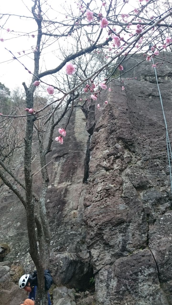 イメージ 4