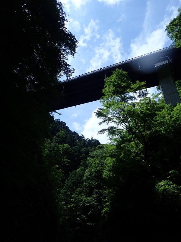 イメージ 20