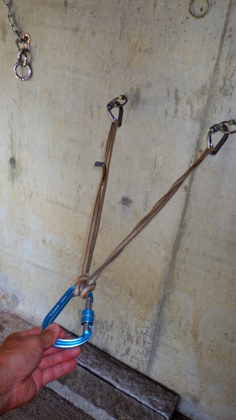 batch_RIMG8625