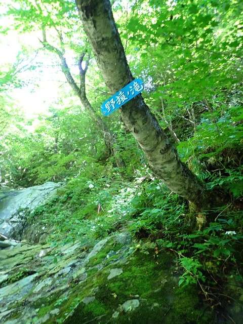 P8060087