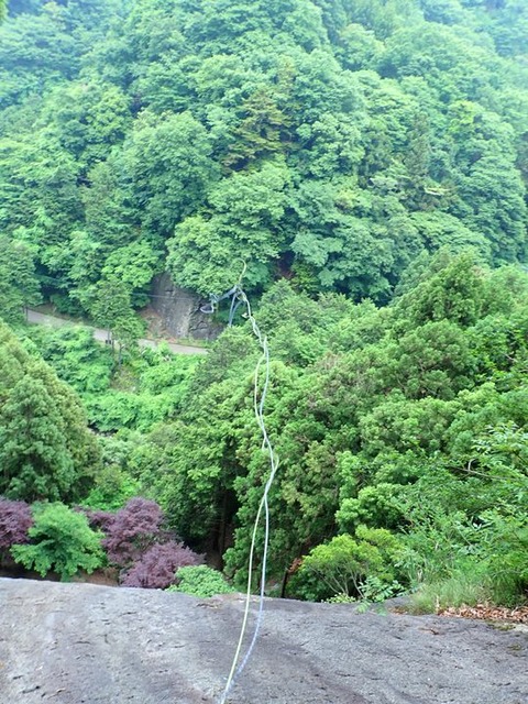 P6020067