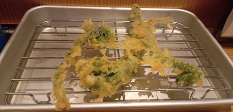 IMG_20250505_182821