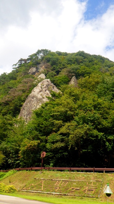 batch_RIMG1325