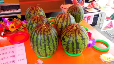 batch_RIMG9325