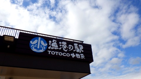 RIMG8628