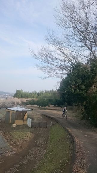 イメージ 35