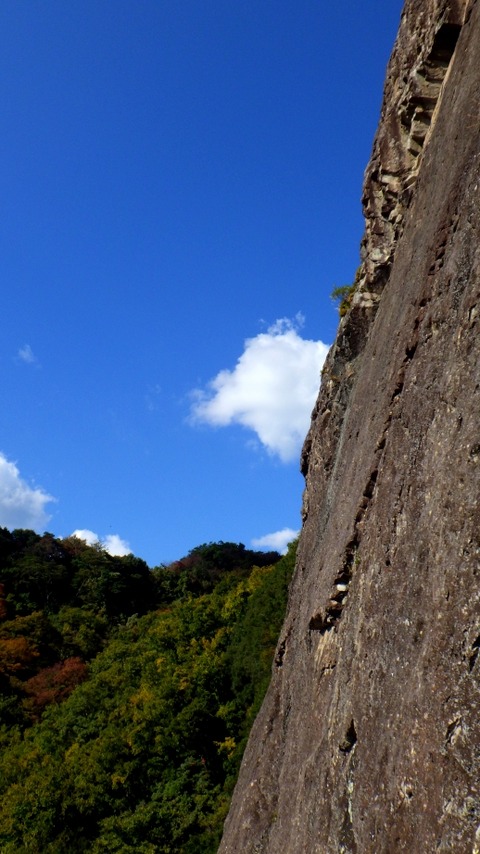 RIMG8533
