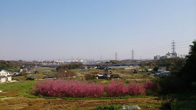 イメージ 9