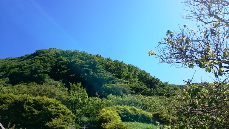 イメージ 10