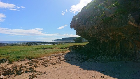 DSC_1257