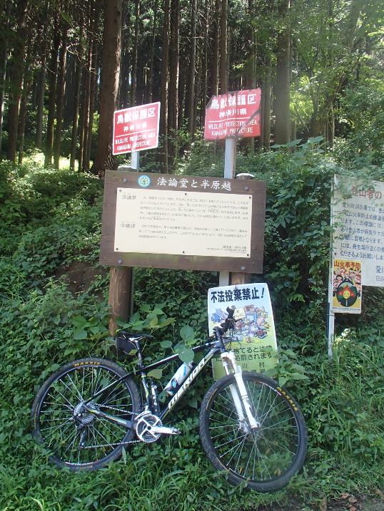 イメージ 13