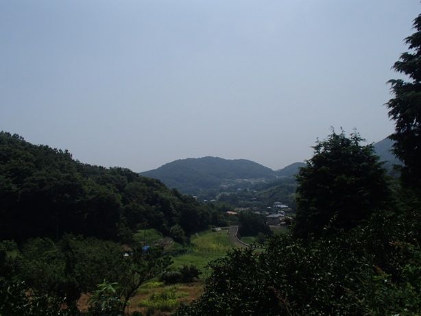 イメージ 20