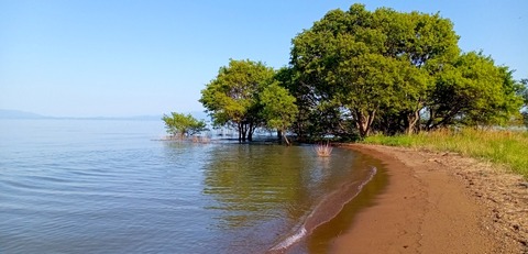 batch_IMG_20240504_160014