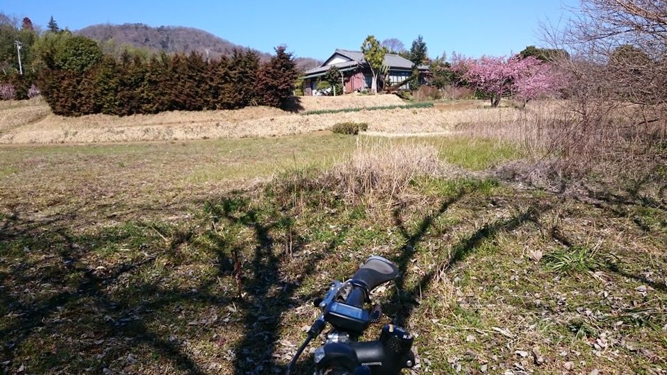 イメージ 6