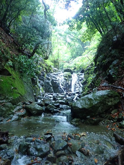 P6090052