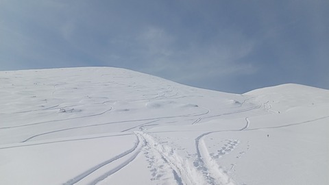 050