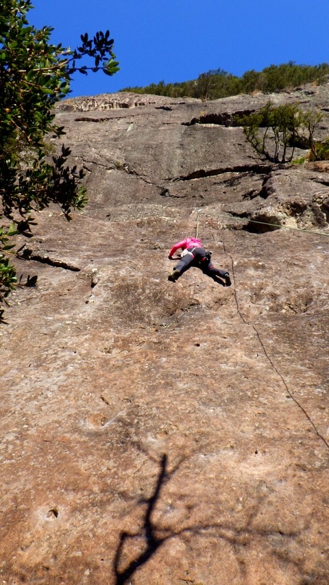 RIMG0546