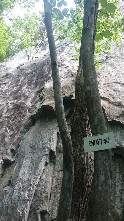 イメージ 9